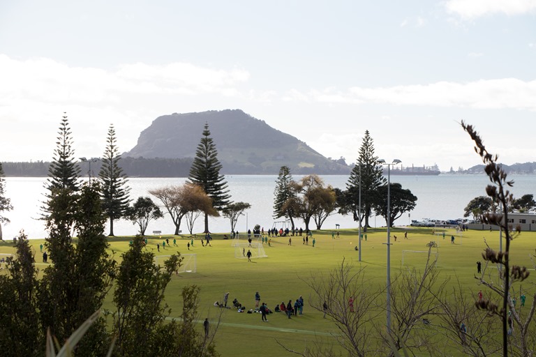 Climate Action and Investment Plan