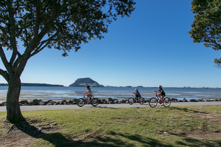 Reducing emissions in Tauranga