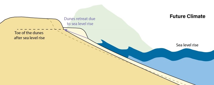 Future coastal erosion
