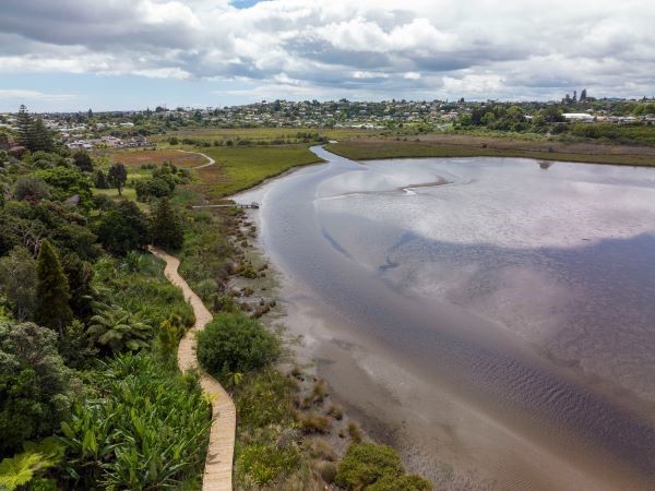 Matua salt marsh erosion