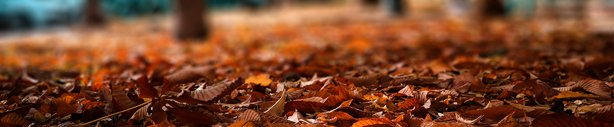 Debris Assistance Debris Assistance