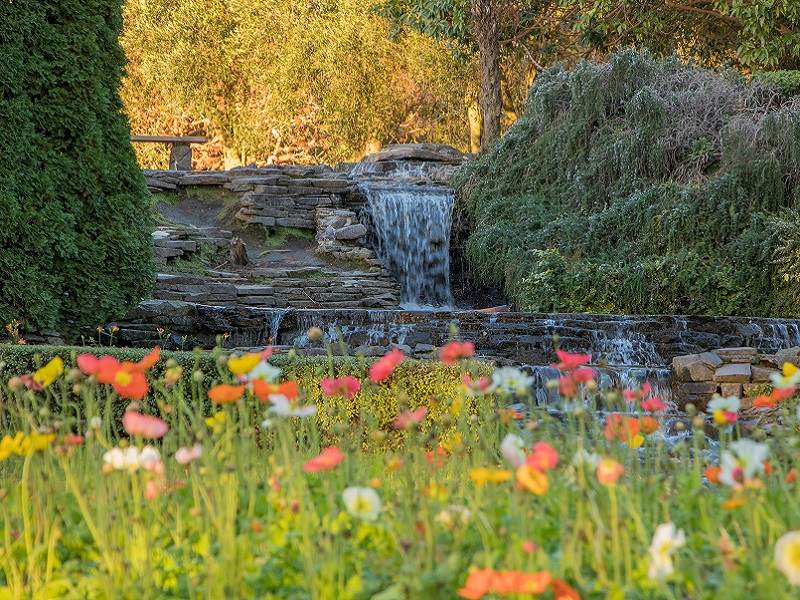 Yatton park