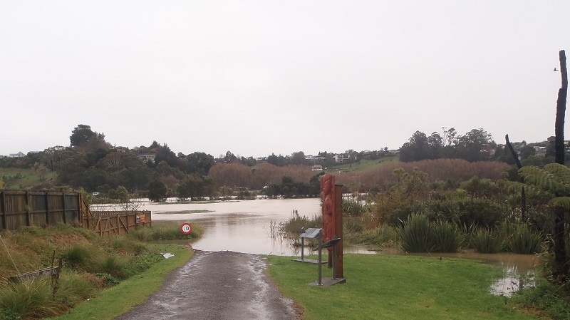 floodplain floodplain