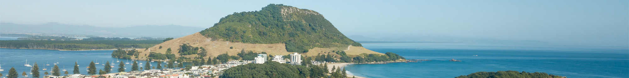 Mount Programme