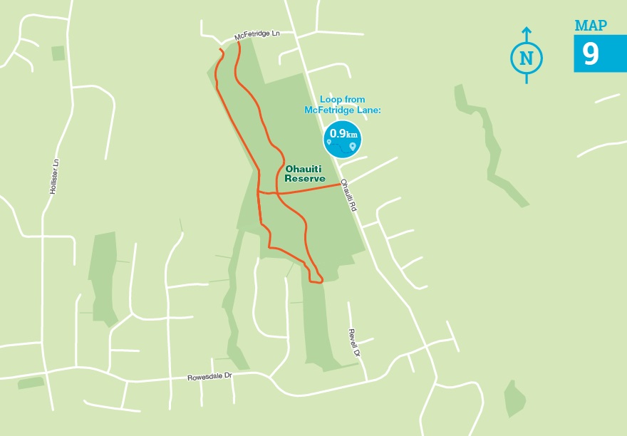 Ohauiti reserve walkway