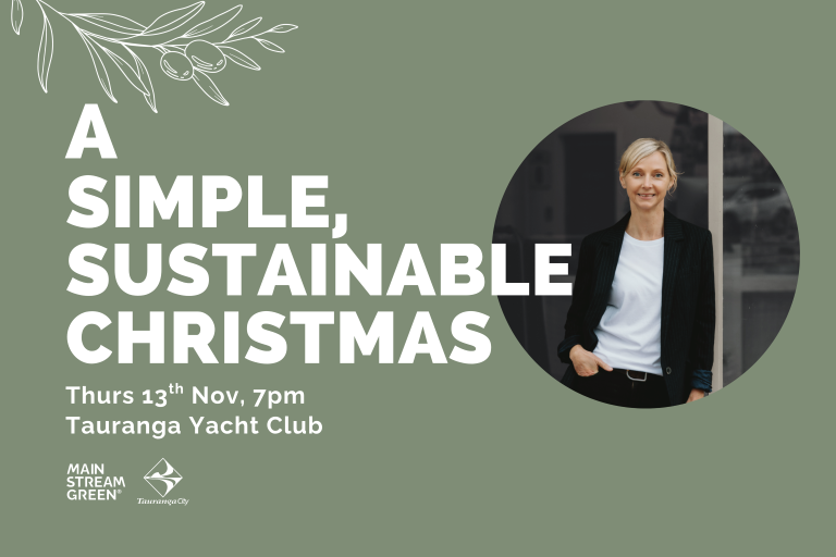Sustainable christmas