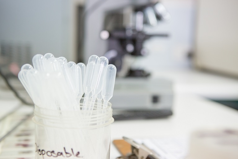 Water testing and reports