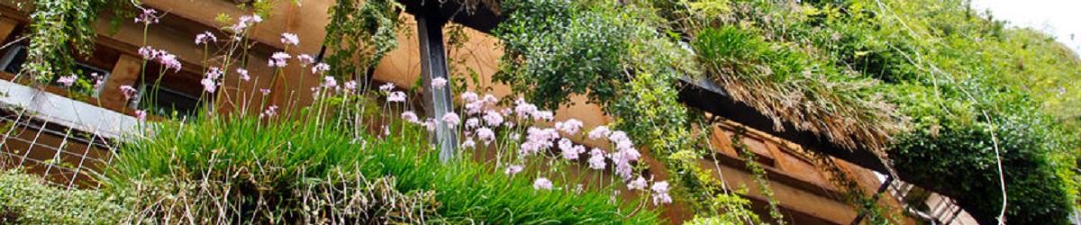 Intermediate education programme banner