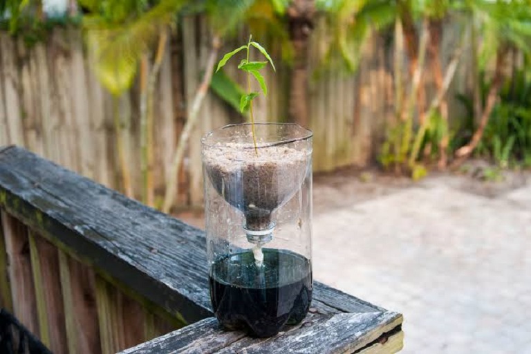 Intermediate education programme