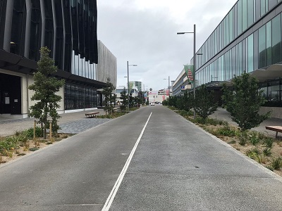 Durham Street planting long view
